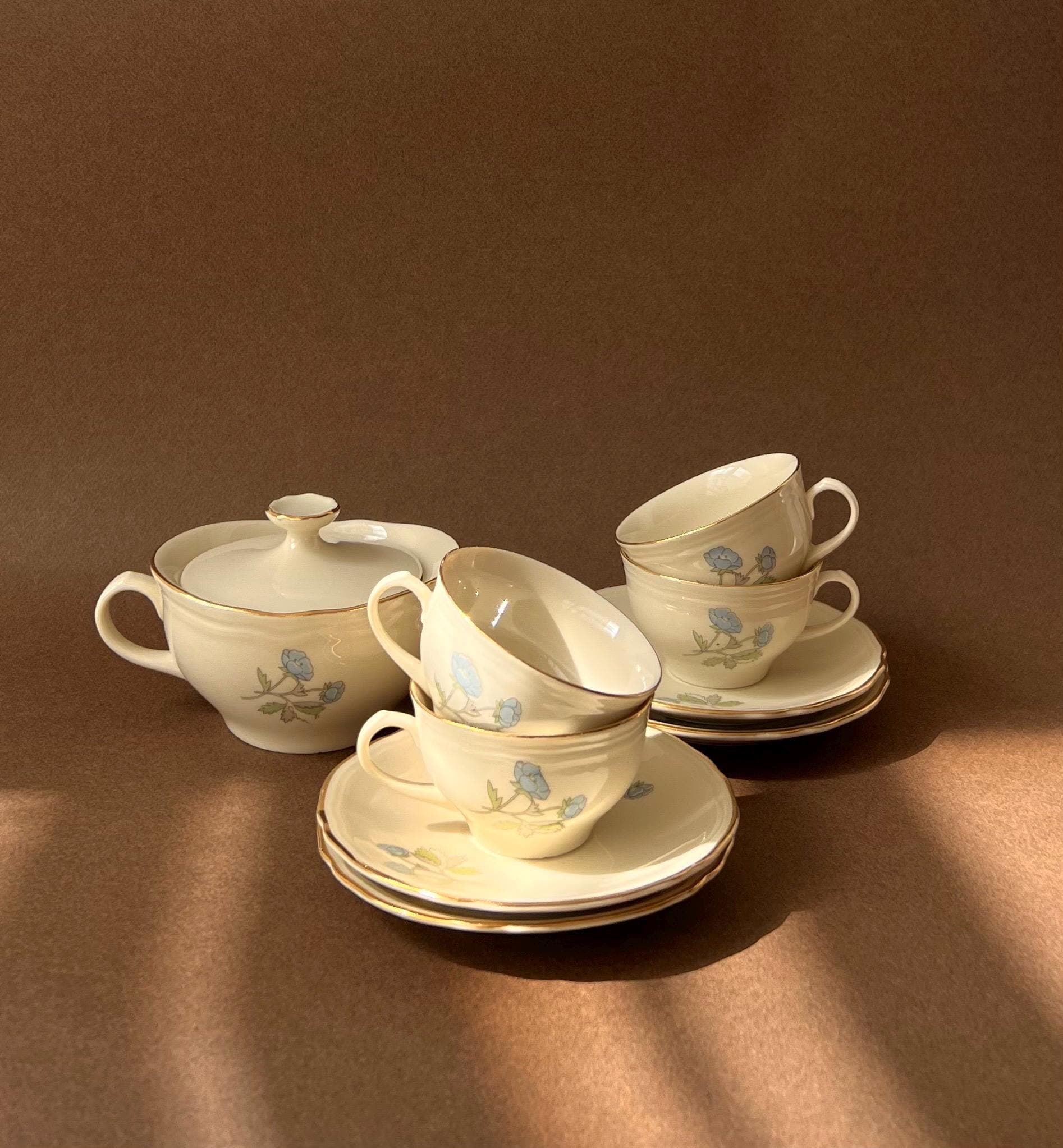 Vintage Richard Ginori Ariston Coffee Cup Saucer Set | Italian Porcelain Blue Floral Gold Rim