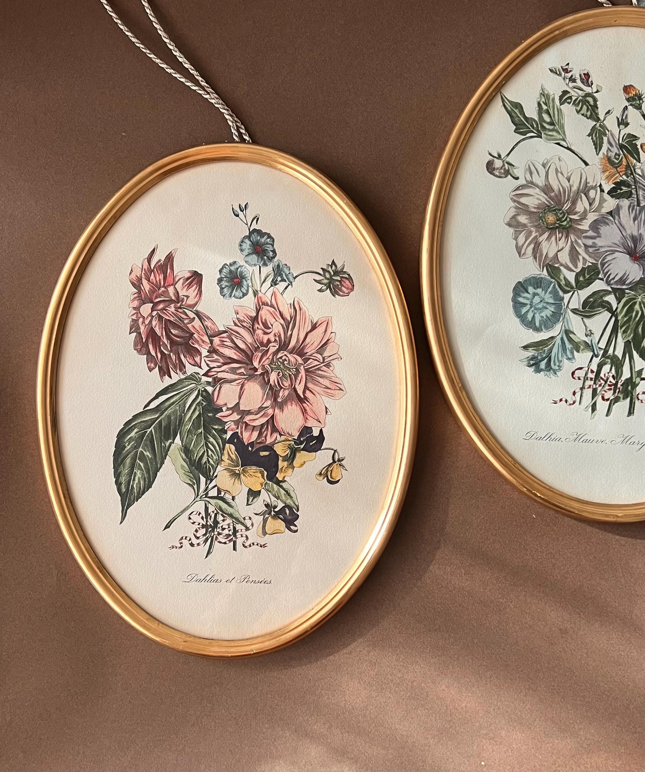 Vintage Botanical Art Prints – Framed Floral Illustrations